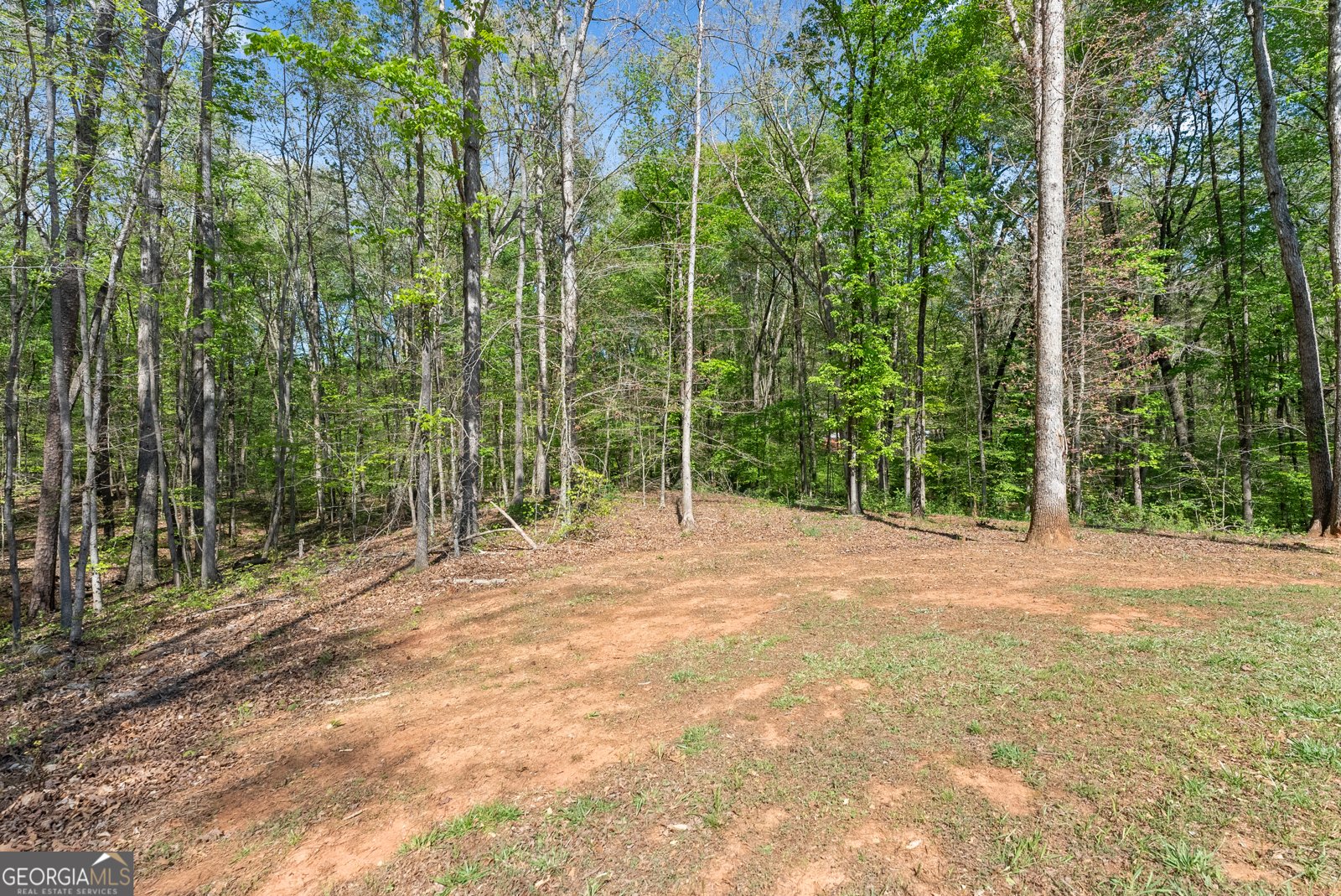 179 Prime Drive Commerce - Photo 40