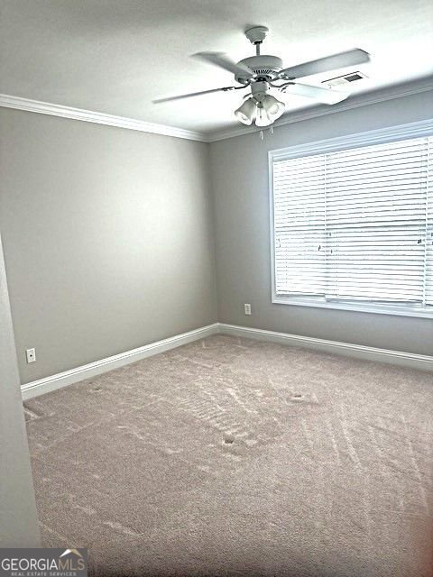 217 Amelia Way Loganville - Photo 23