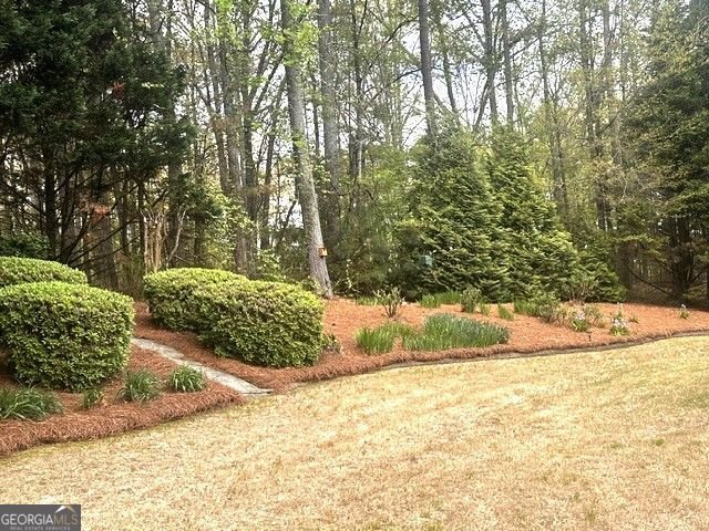 217 Amelia Way Loganville - Photo 31