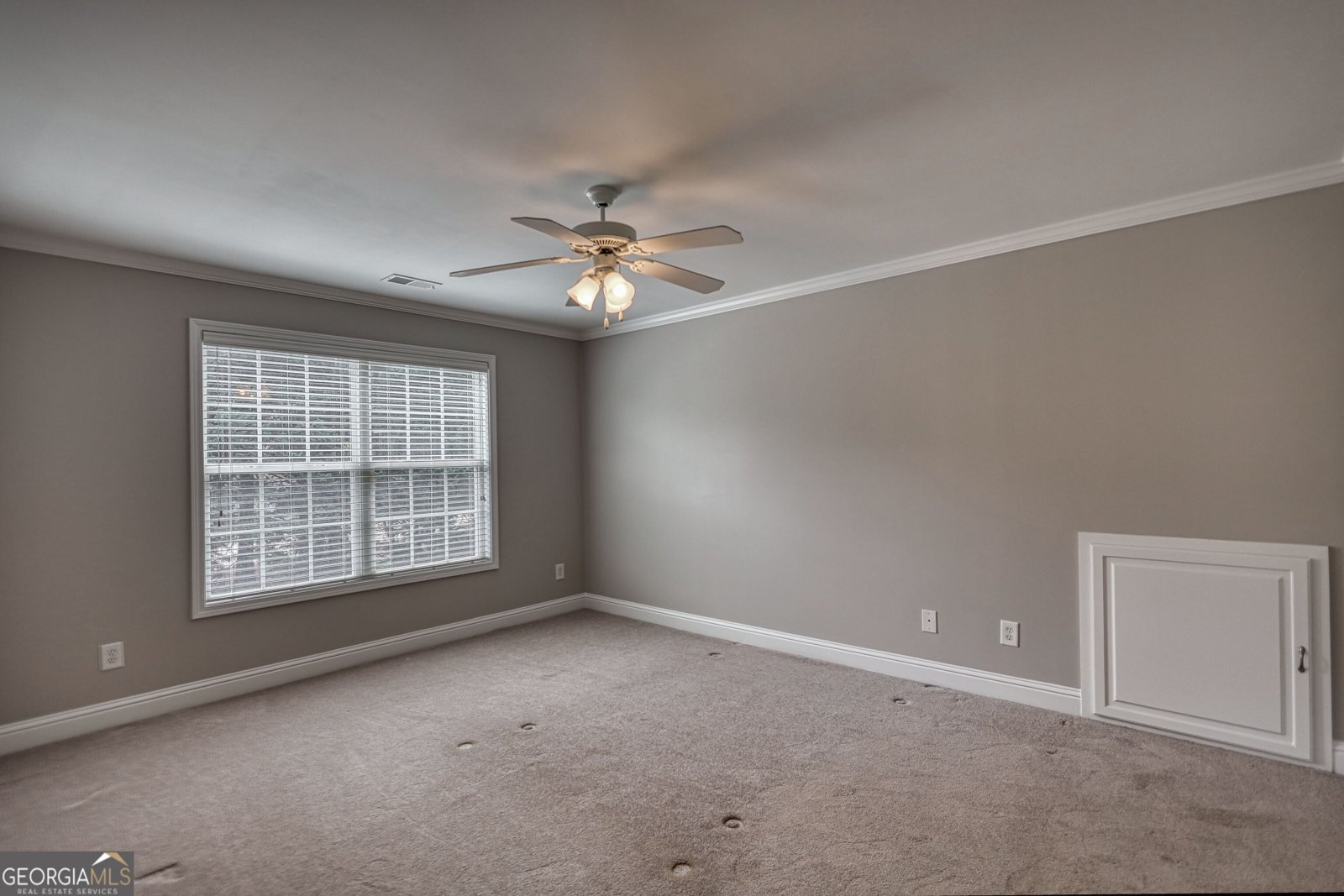 217 Amelia Way Loganville - Photo 64