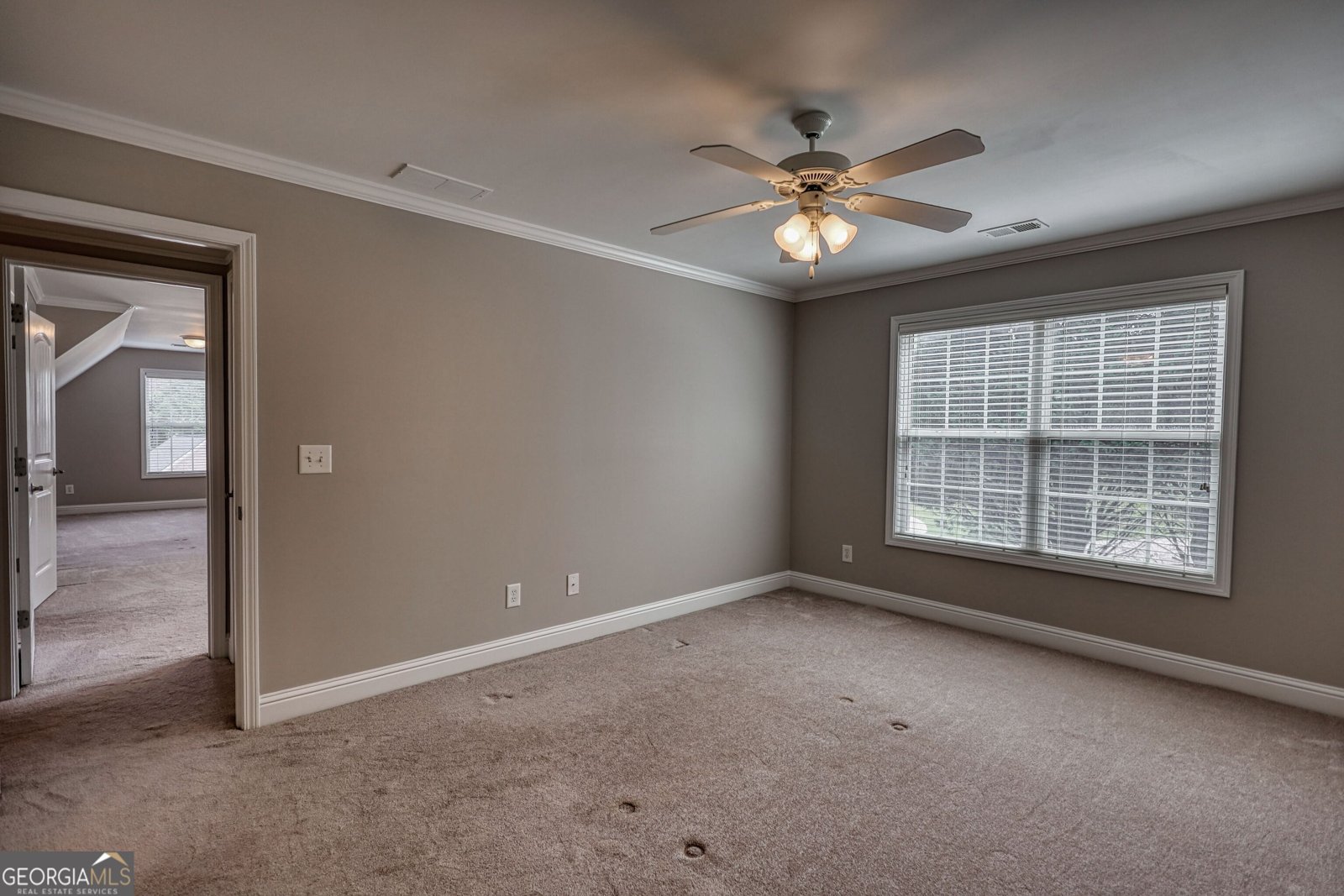 217 Amelia Way Loganville - Photo 67