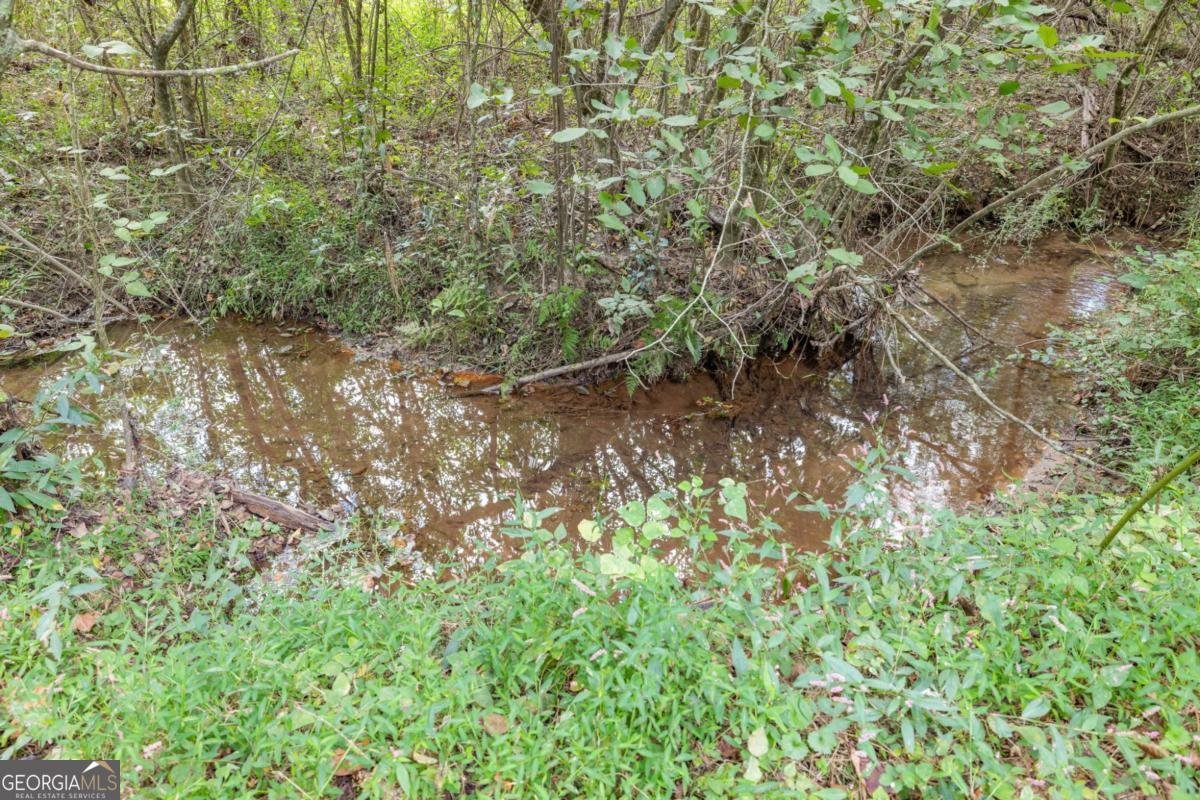 385 Amys Road Clarkesville - Photo 43