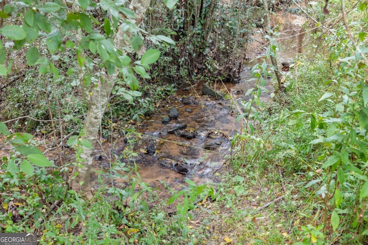 385 Amys Road Clarkesville - Photo 45