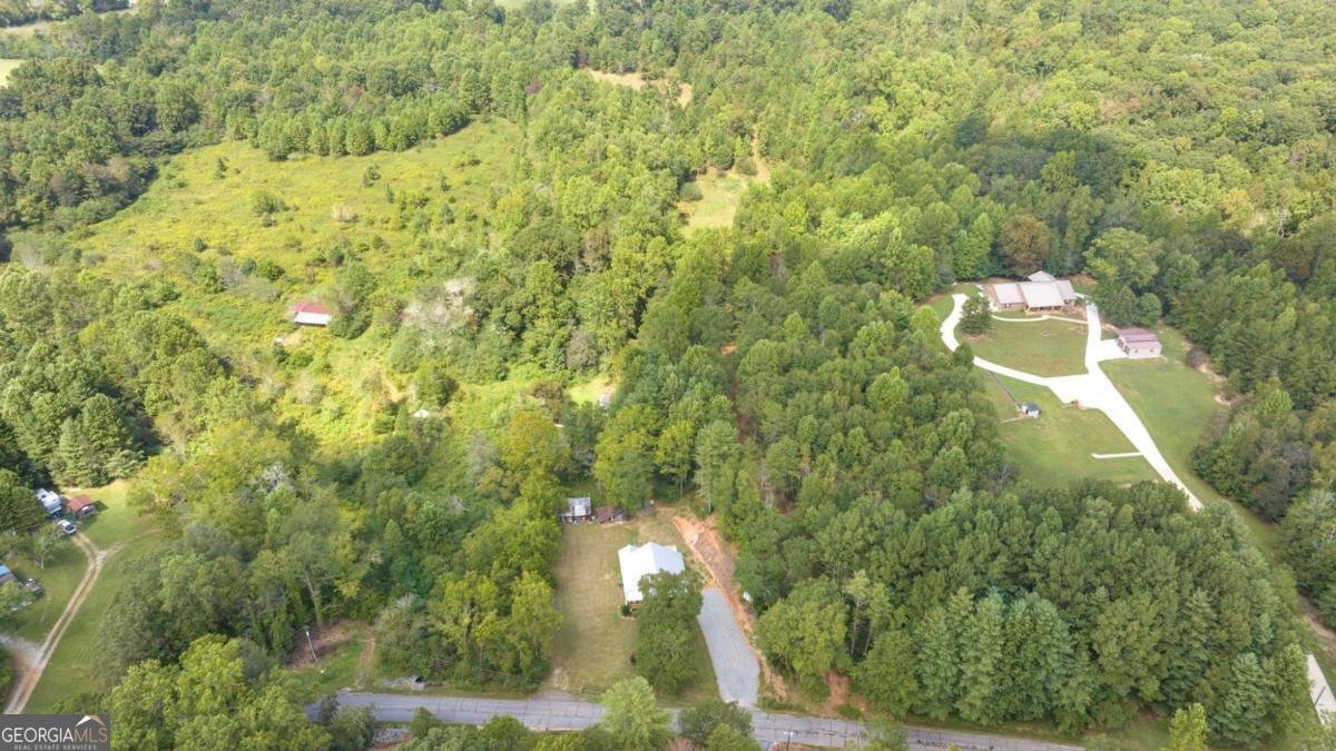 385 Amys Road Clarkesville - Photo 56