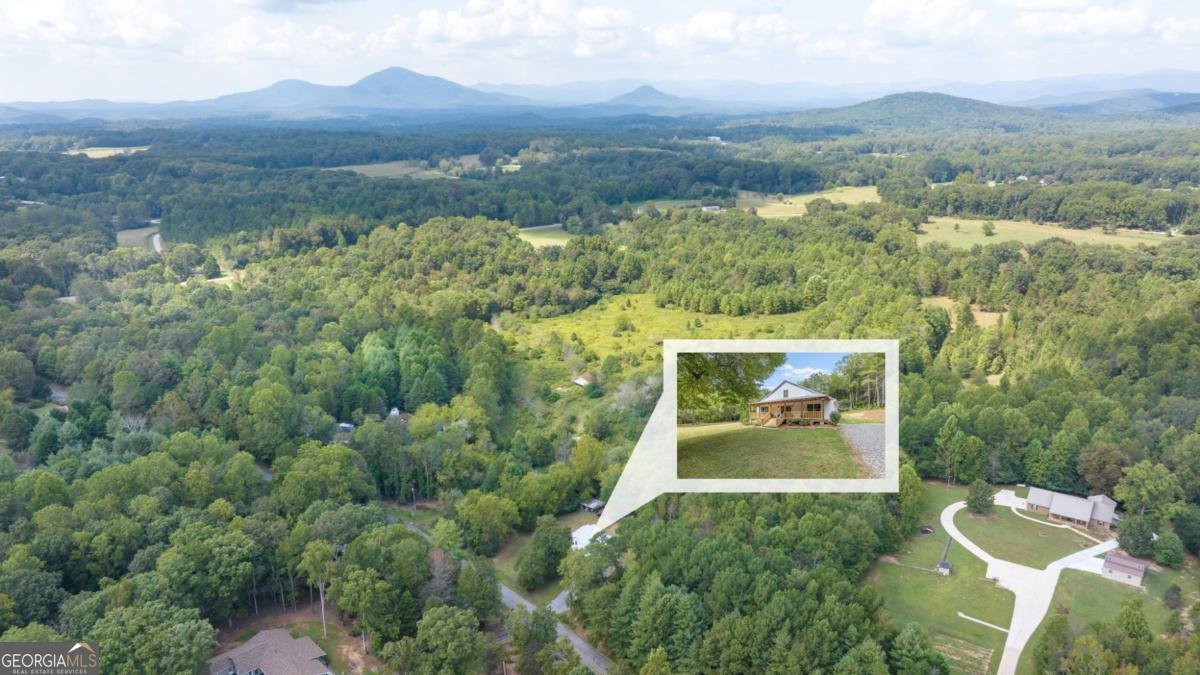 385 Amys Road Clarkesville - Photo 58