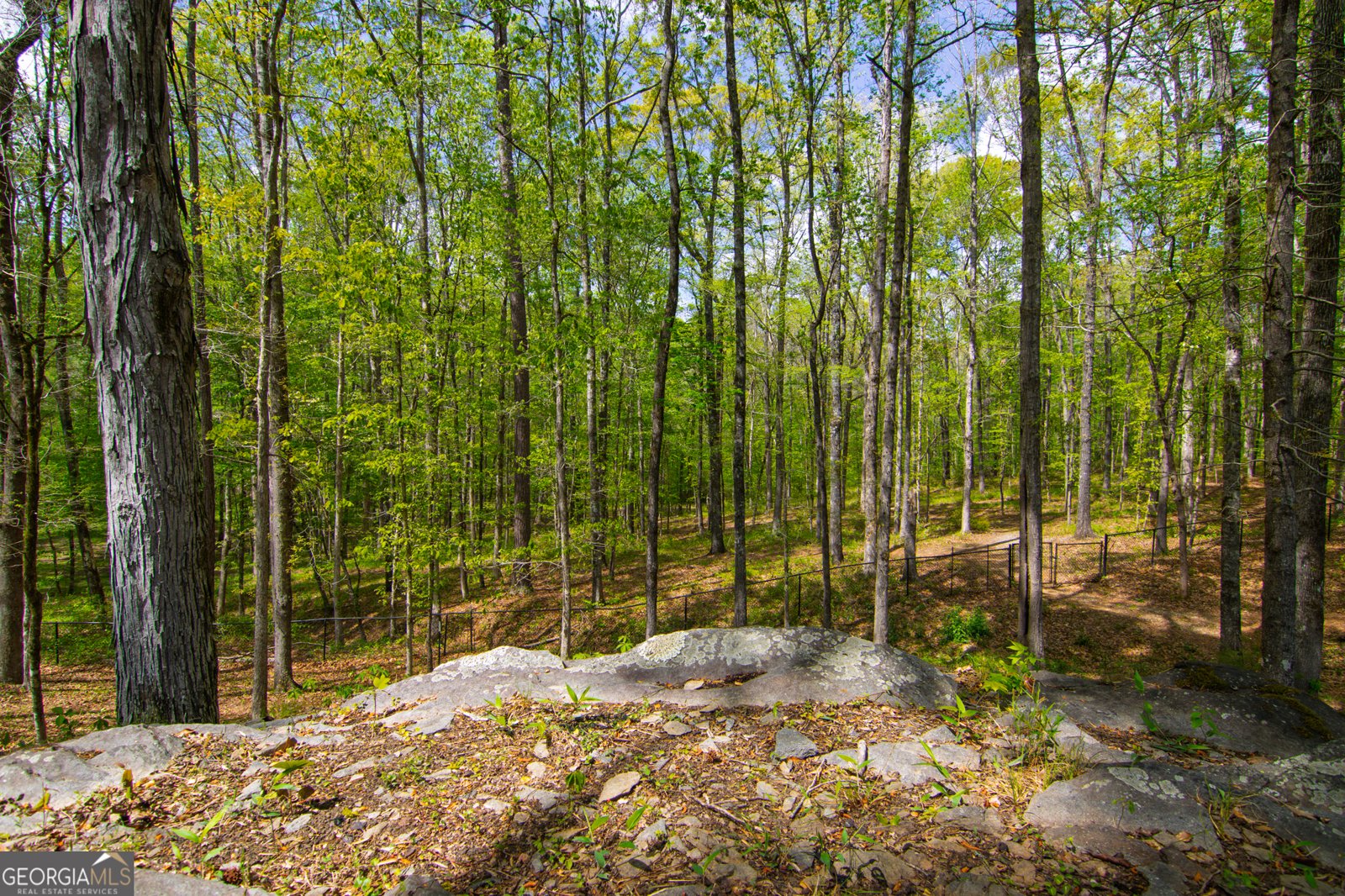 476 Wildwood Plantation Drive Cataula - Photo 55