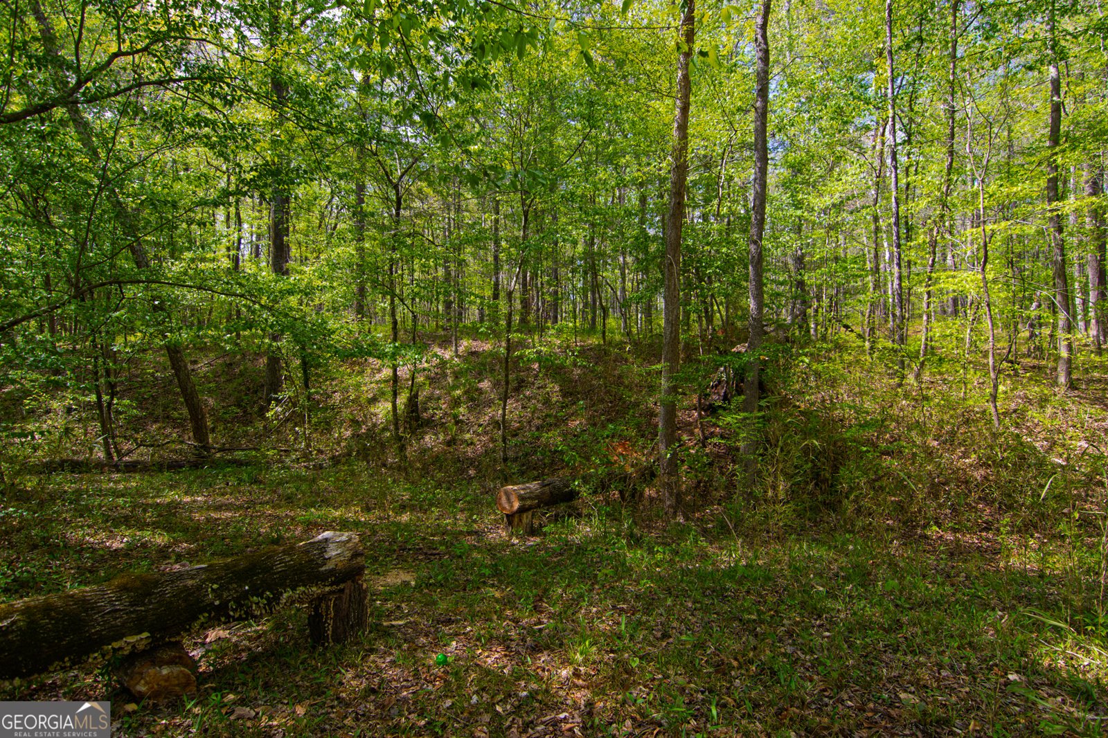 476 Wildwood Plantation Drive Cataula - Photo 58
