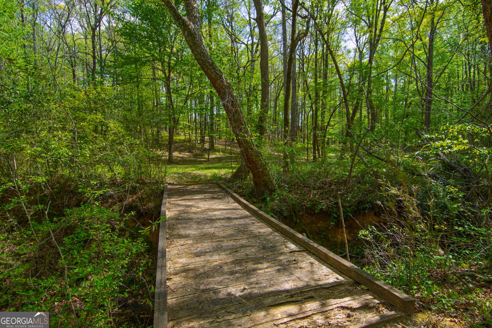 476 Wildwood Plantation Drive Cataula - Photo 59