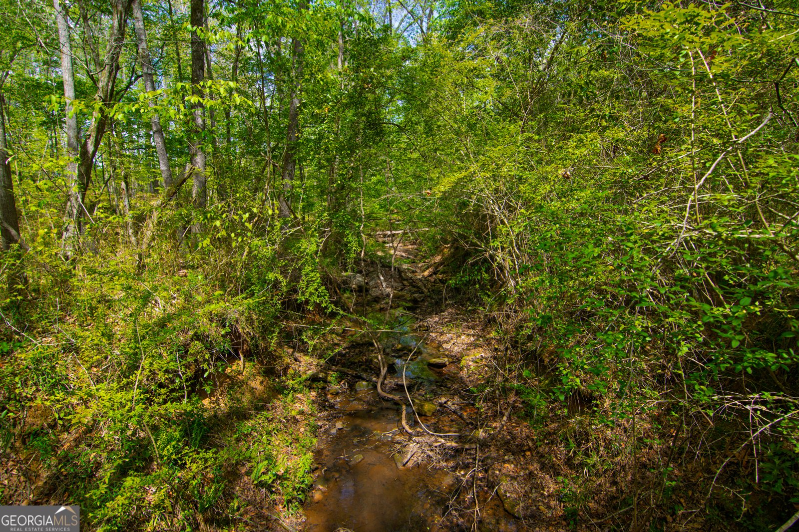 476 Wildwood Plantation Drive Cataula - Photo 61