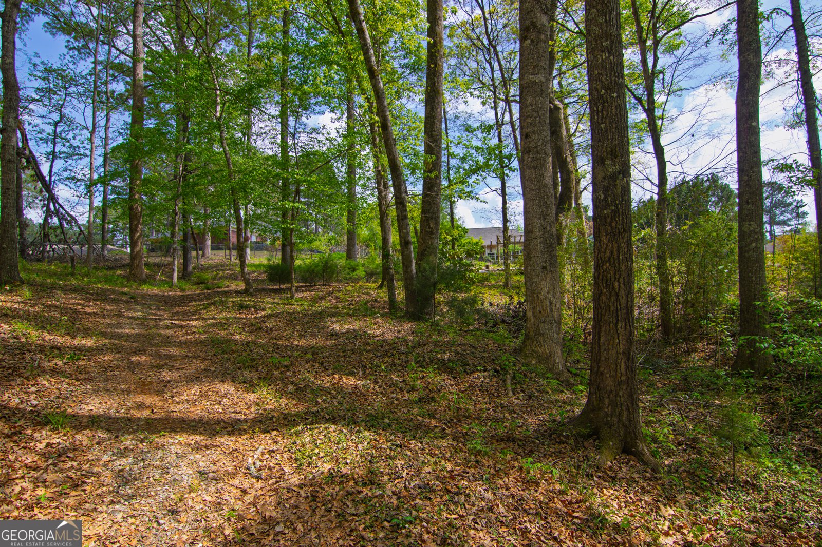 476 Wildwood Plantation Drive Cataula - Photo 62