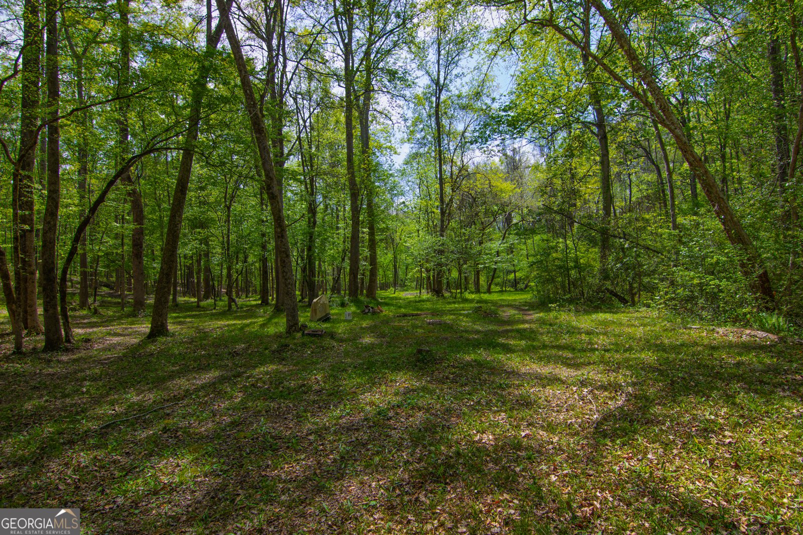 476 Wildwood Plantation Drive Cataula - Photo 63