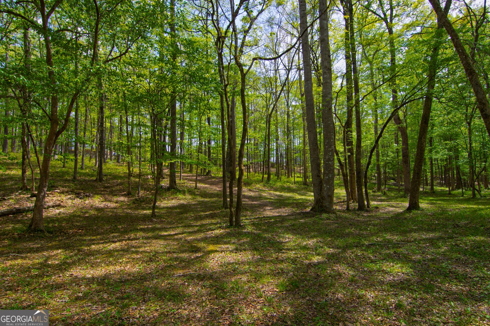 476 Wildwood Plantation Drive Cataula - Photo 64