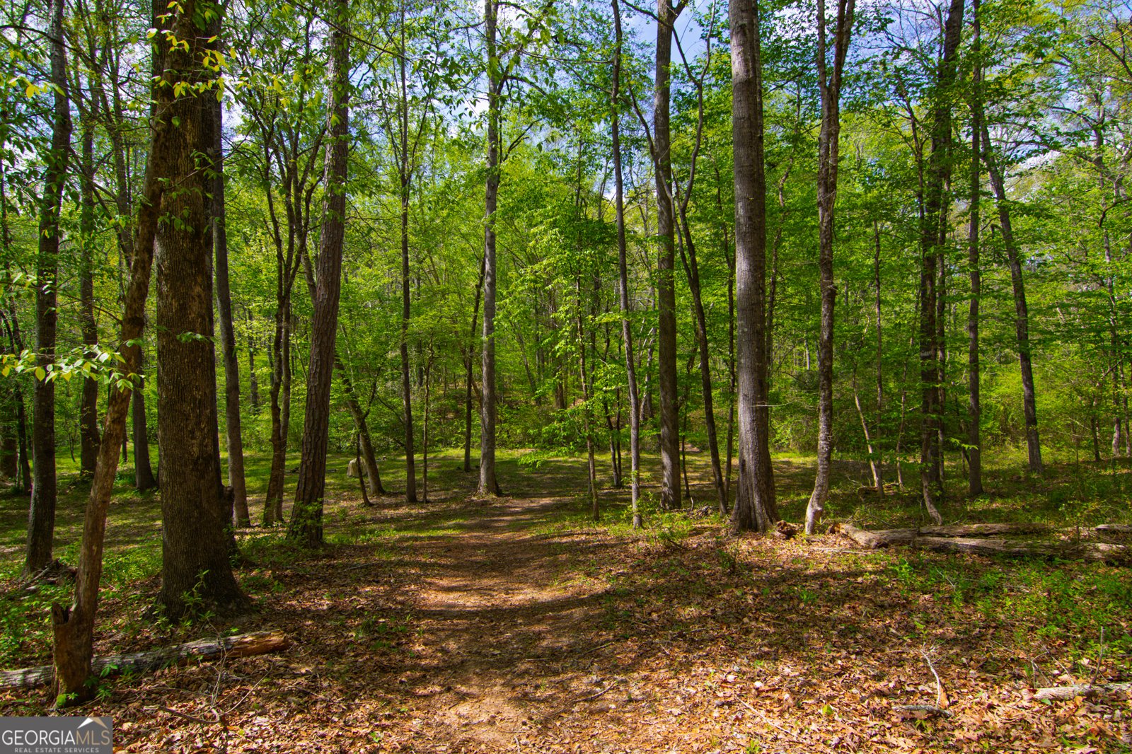 476 Wildwood Plantation Drive Cataula - Photo 65