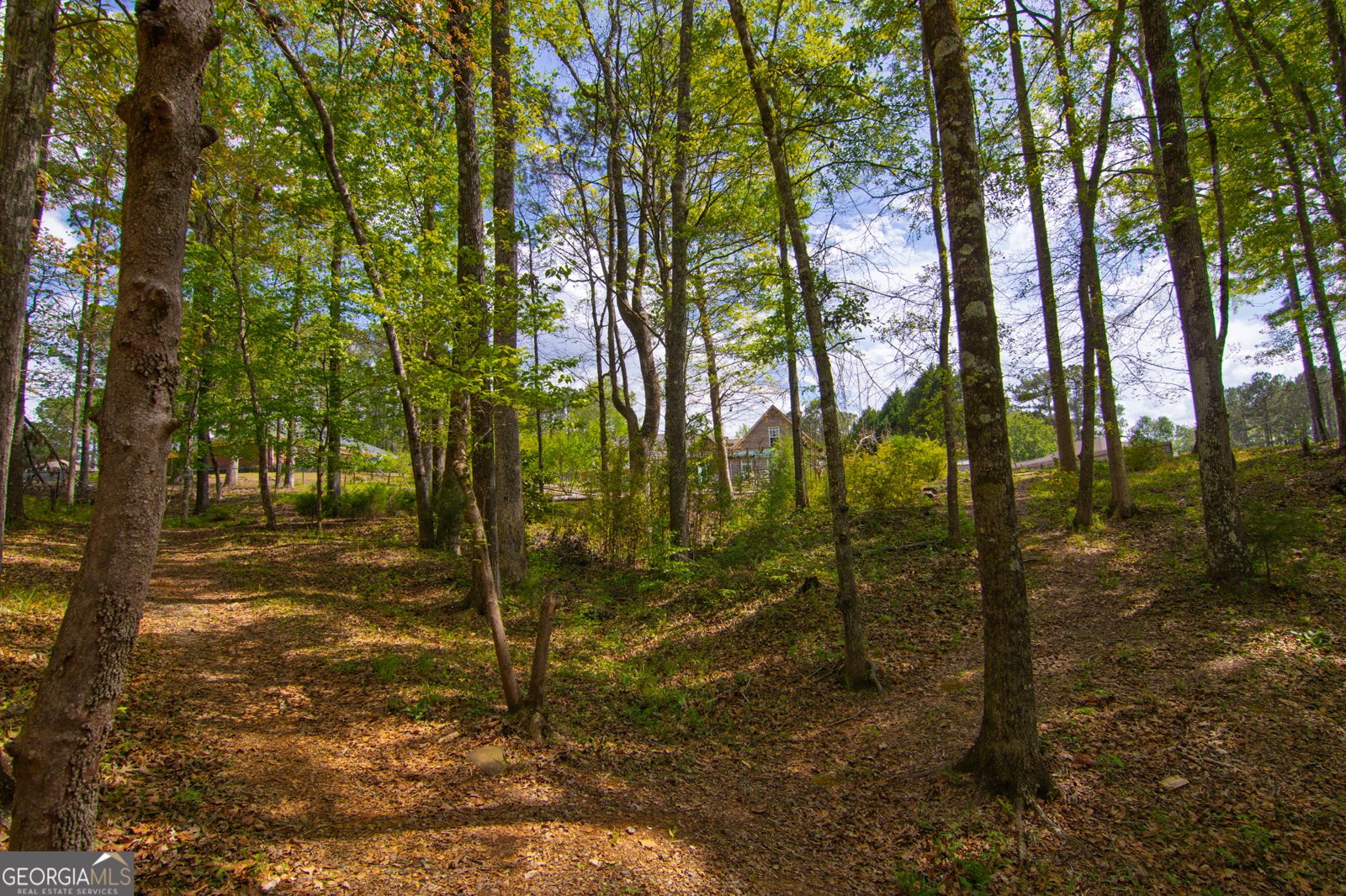 476 Wildwood Plantation Drive Cataula - Photo 66