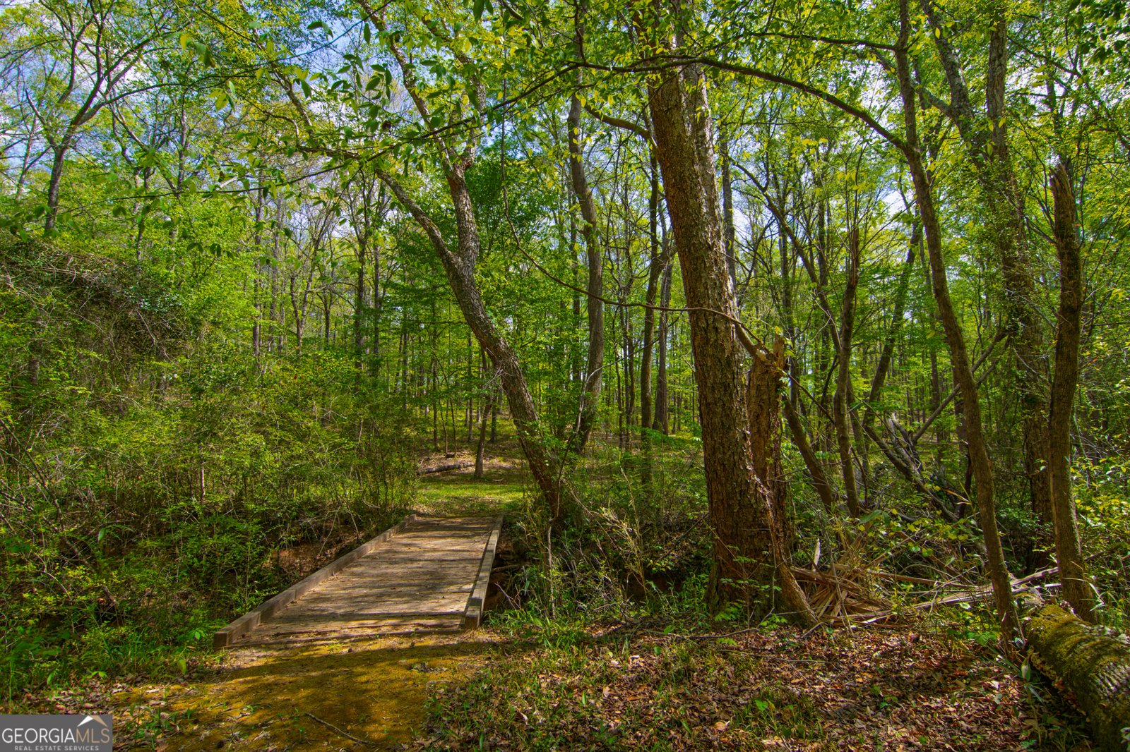 476 Wildwood Plantation Drive Cataula - Photo 73