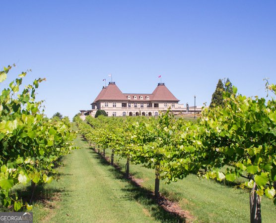 2343 Northern Oak Drive Braselton - Photo 129