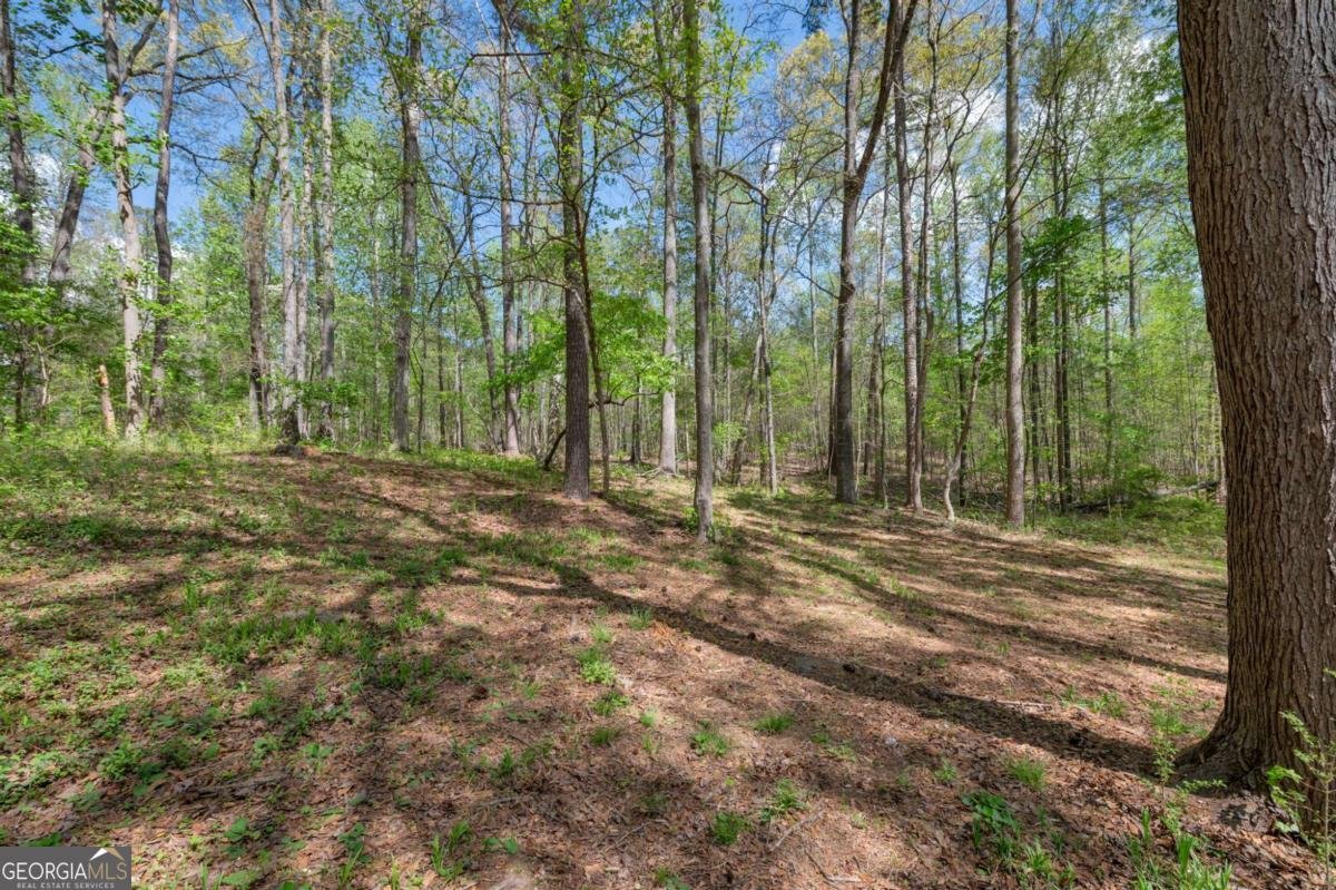 252 Amber Way Dallas - Photo 39