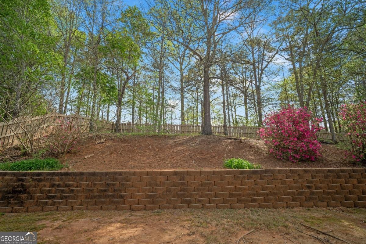 35 Waterstone Drive Cartersville - Photo 49