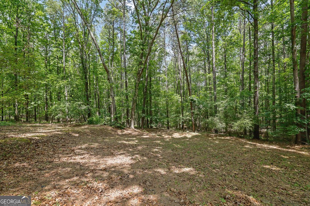 1387 Ridge Road Canton - Photo 35