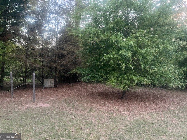 9742 Sparta Davisboro Road Warthen - Photo 14