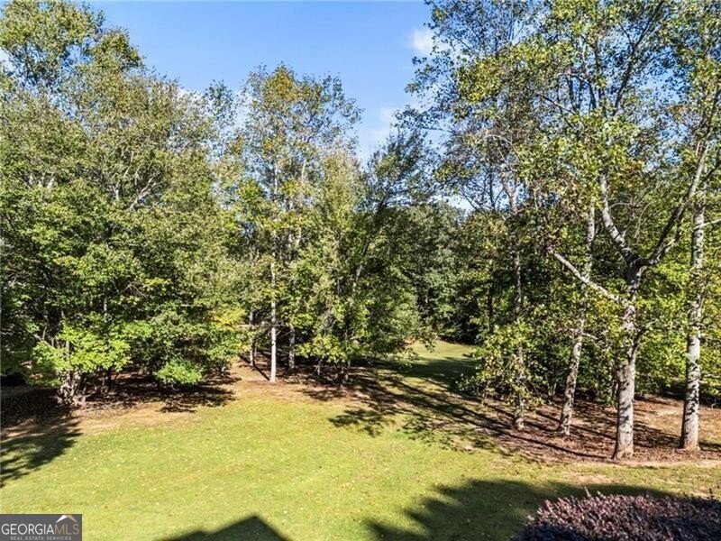15385 Tullgean Drive Alpharetta - Photo 109