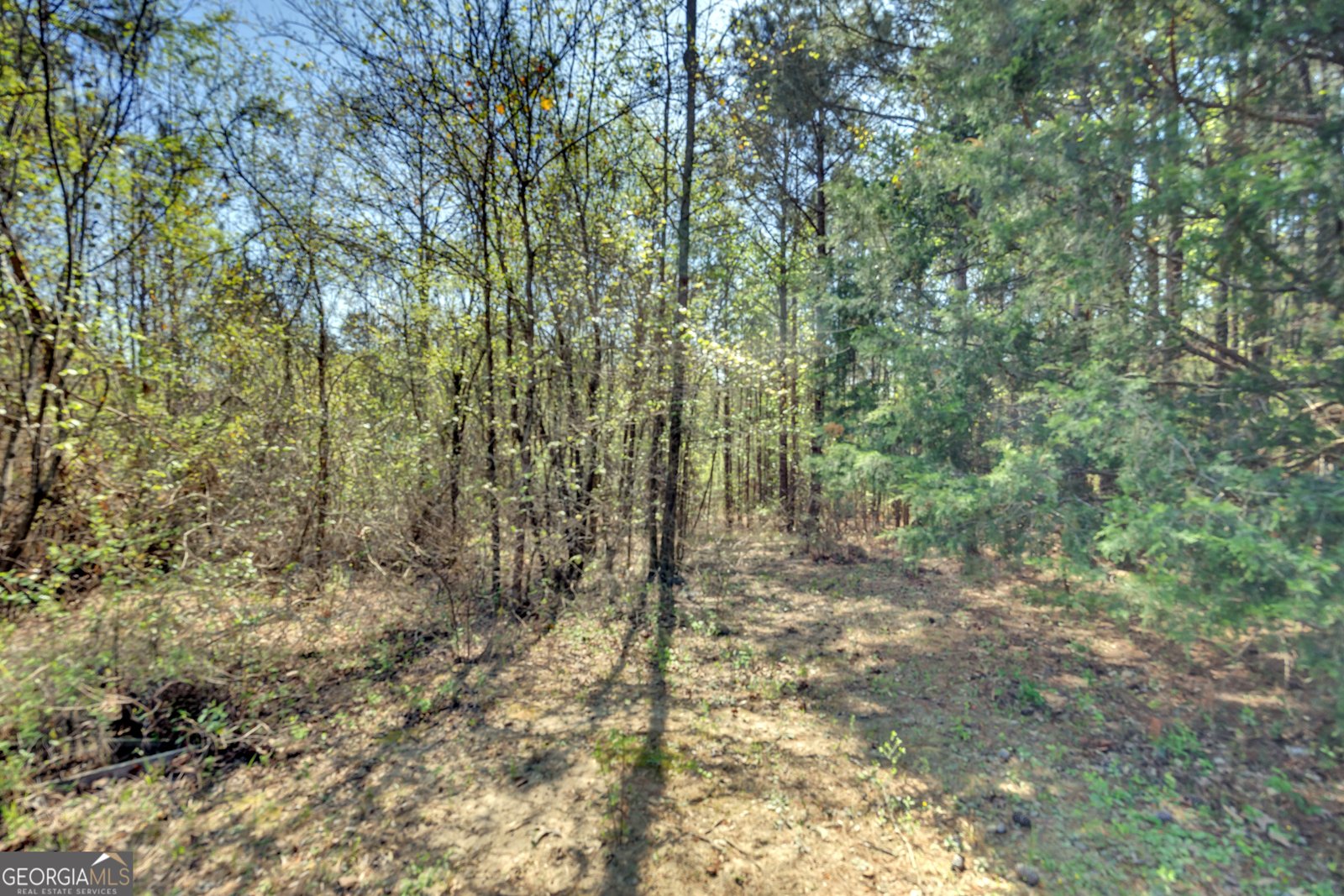 4359 Cook Road Monticello - Photo 49