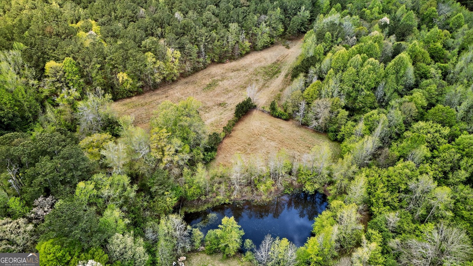 7142 Hamilton Road Pine Mountain - Photo 50