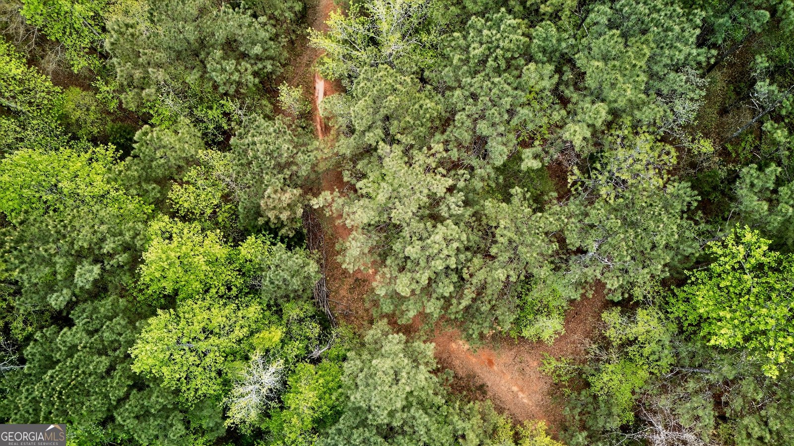 7142 Hamilton Road Pine Mountain - Photo 53