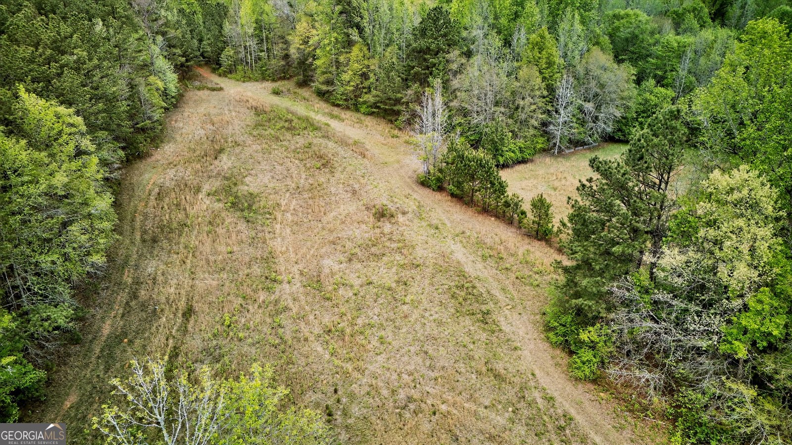 7142 Hamilton Road Pine Mountain - Photo 61