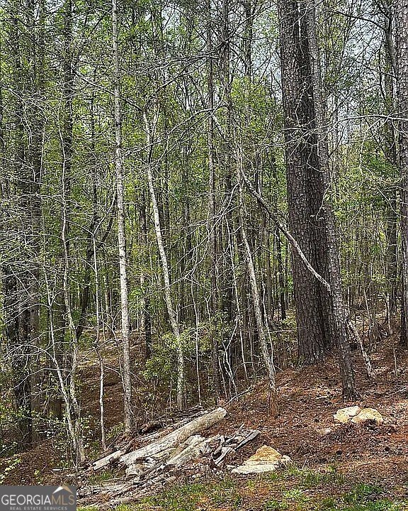 35 Hillandale Street Newnan - Photo 37