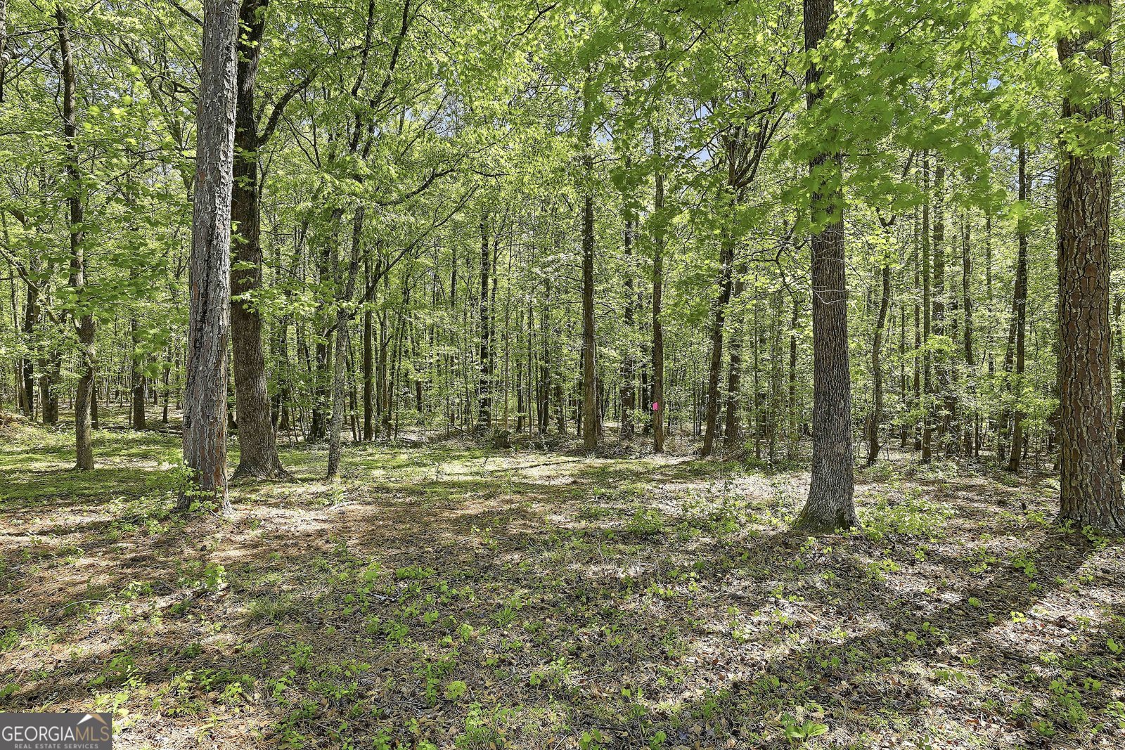 136 Coggins Corner Drive Newnan - Photo 44