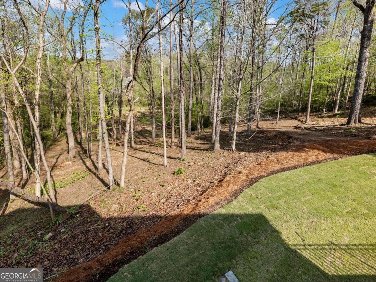 1100 Belmont Place Braselton - Photo 80