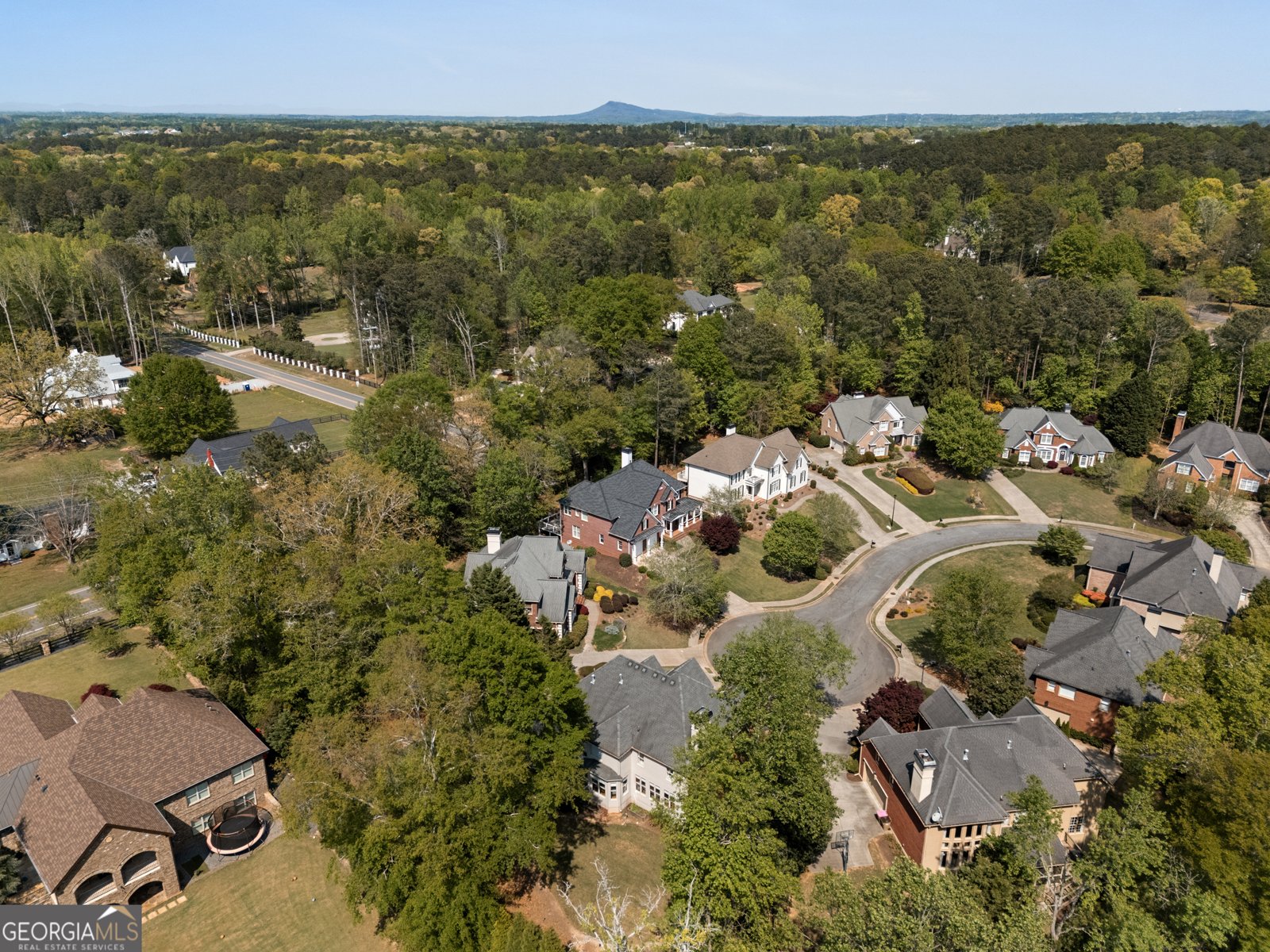 540 Heron Run Court Alpharetta - Photo 60