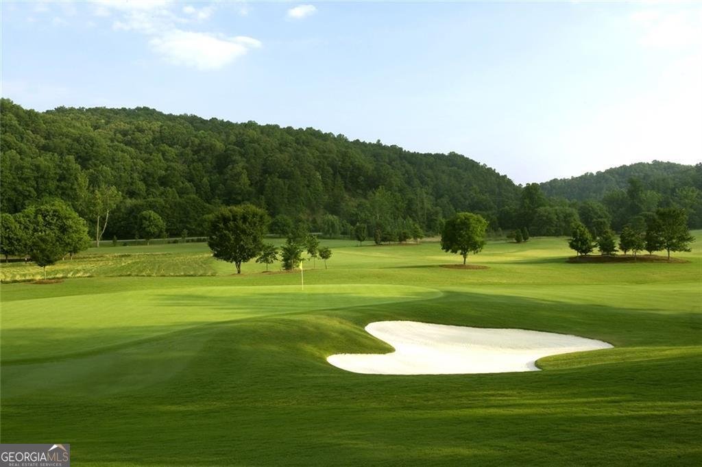 1024 Bear Paw Ridge Dahlonega - Photo 34