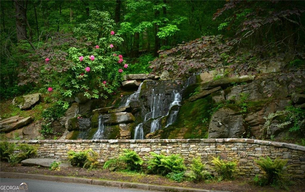 1024 Bear Paw Ridge Dahlonega - Photo 38