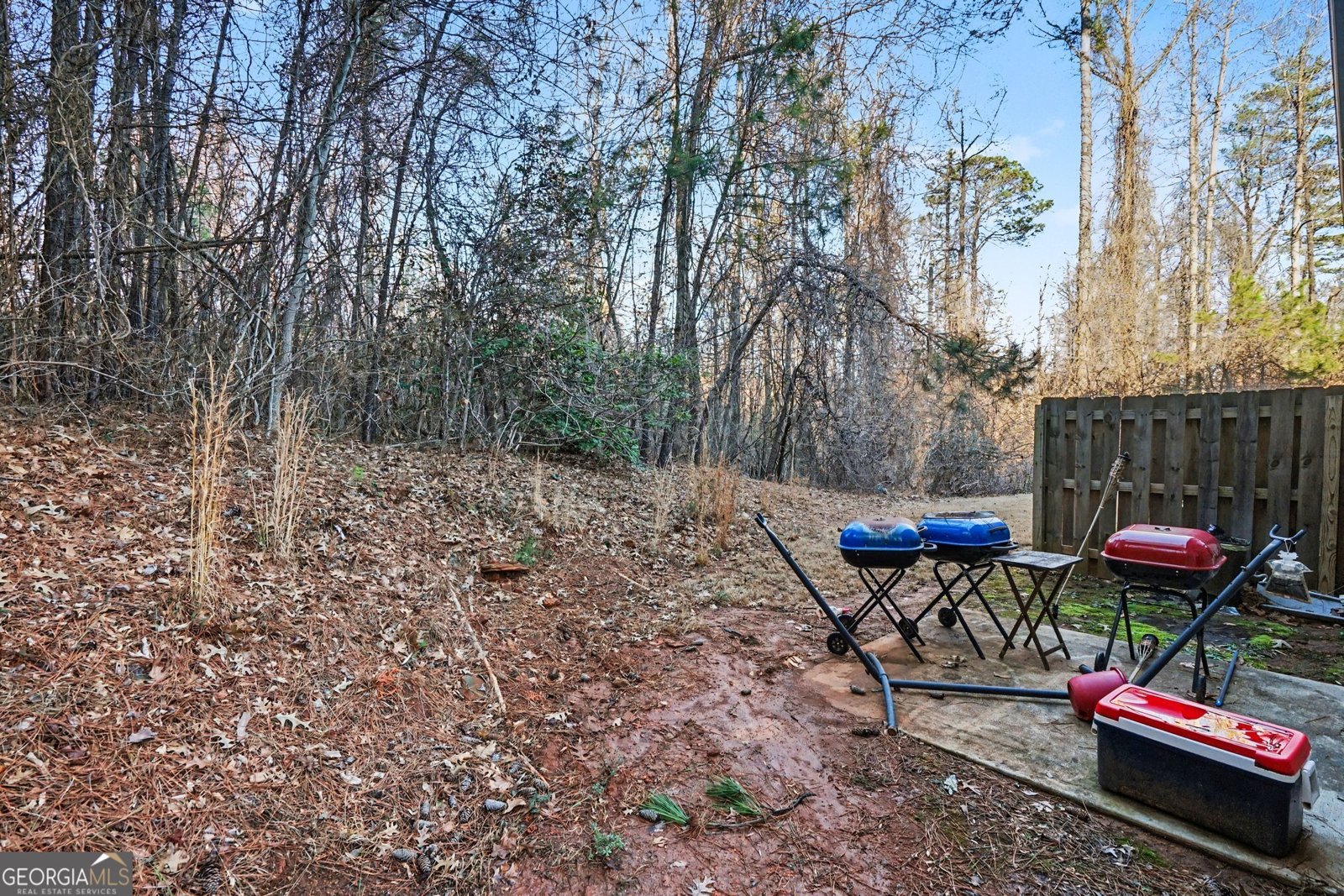 5924 Cassie Drive Lithonia - Photo 20