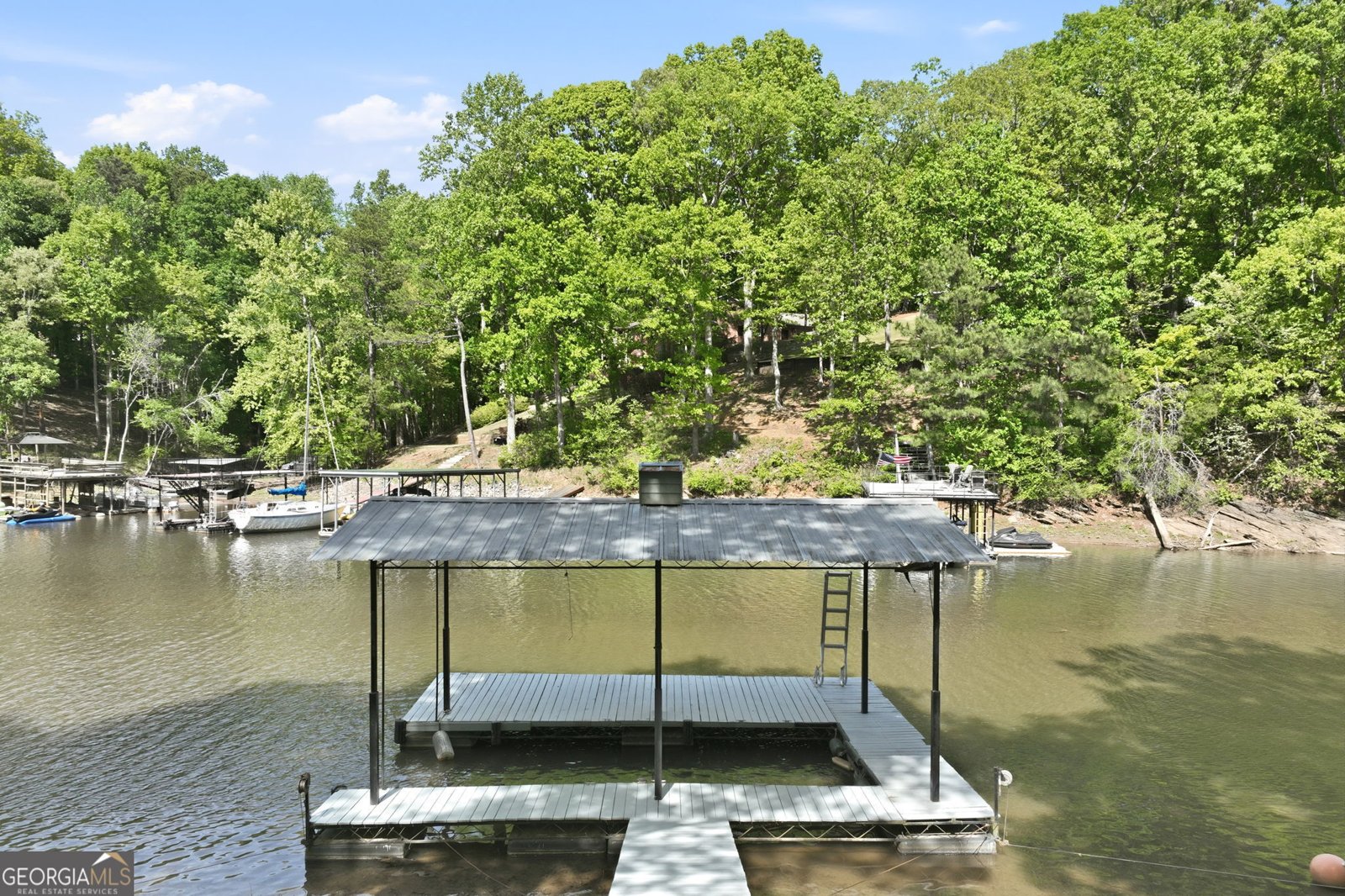 5046 McKinzey Lane Flowery Branch - Photo 119