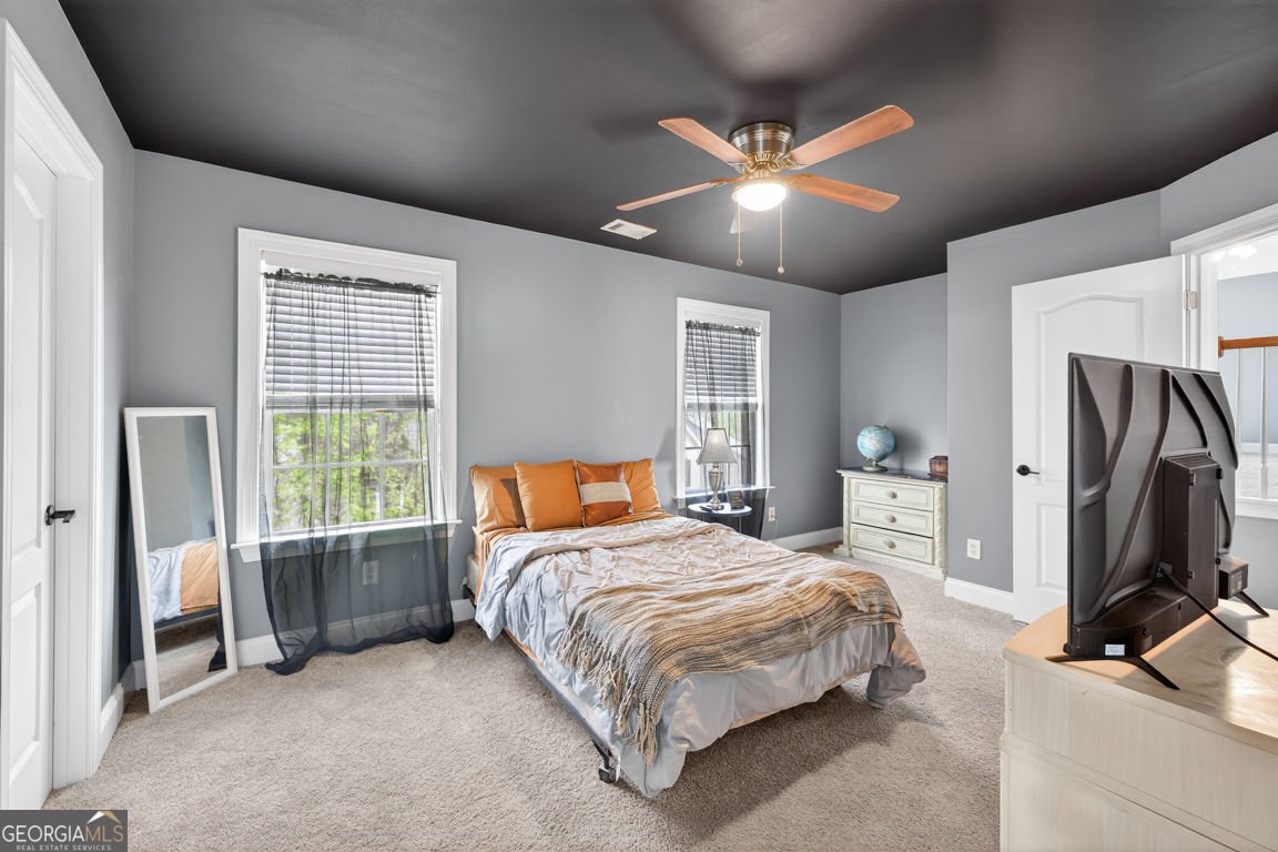 2409 Fisk Falls Drive Braselton - Photo 46