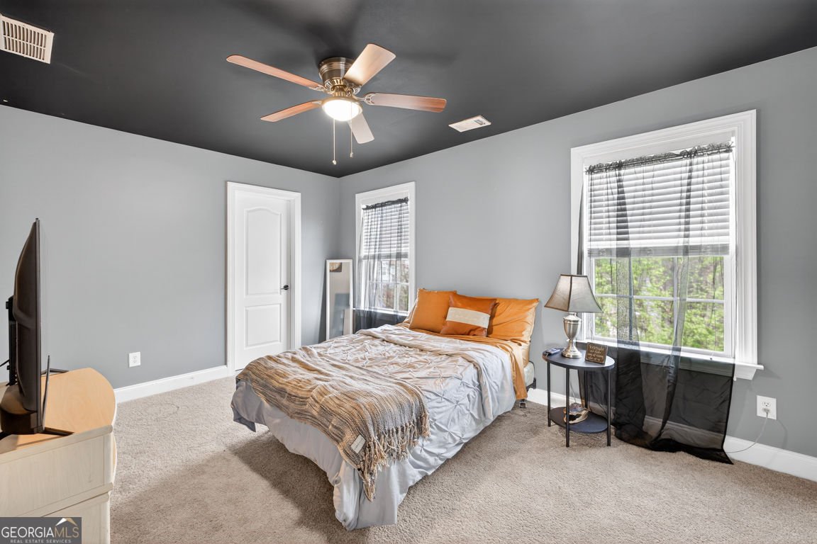 2409 Fisk Falls Drive Braselton - Photo 47