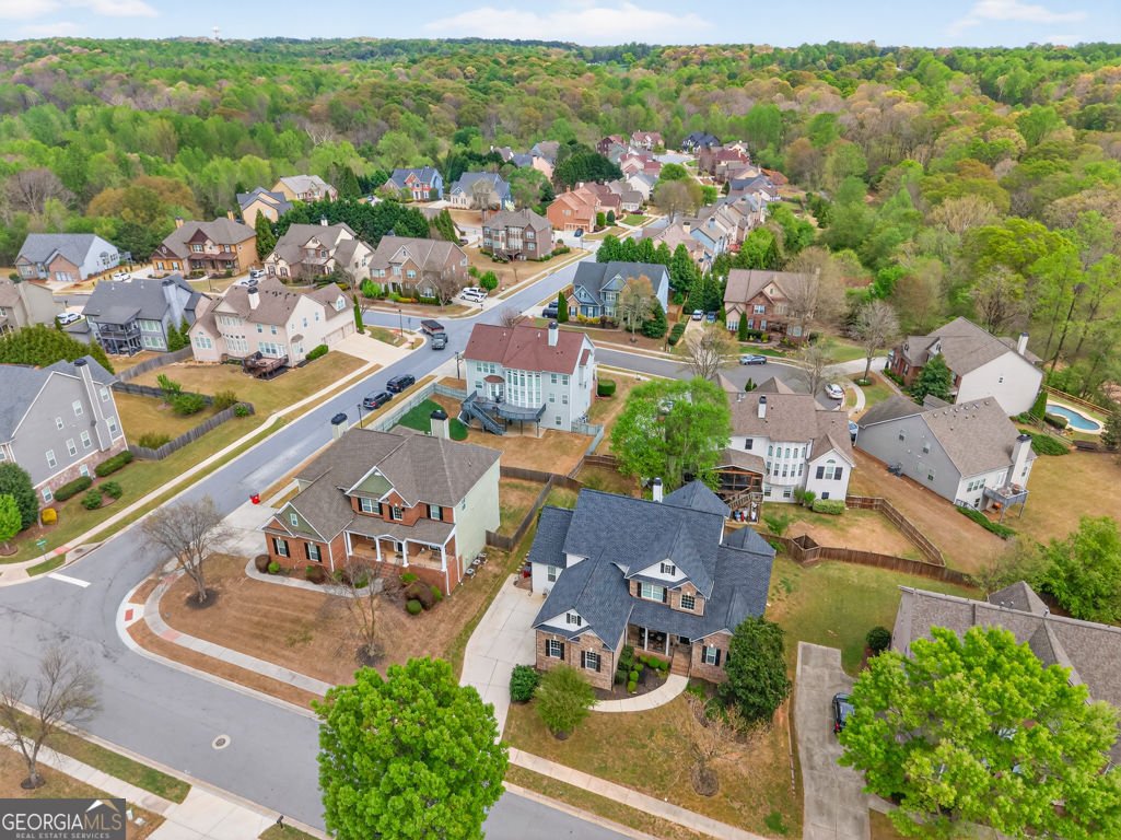 2409 Fisk Falls Drive Braselton - Photo 73