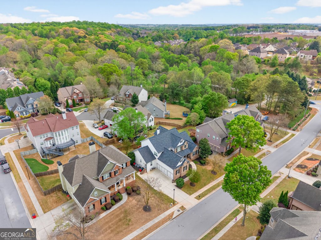 2409 Fisk Falls Drive Braselton - Photo 74