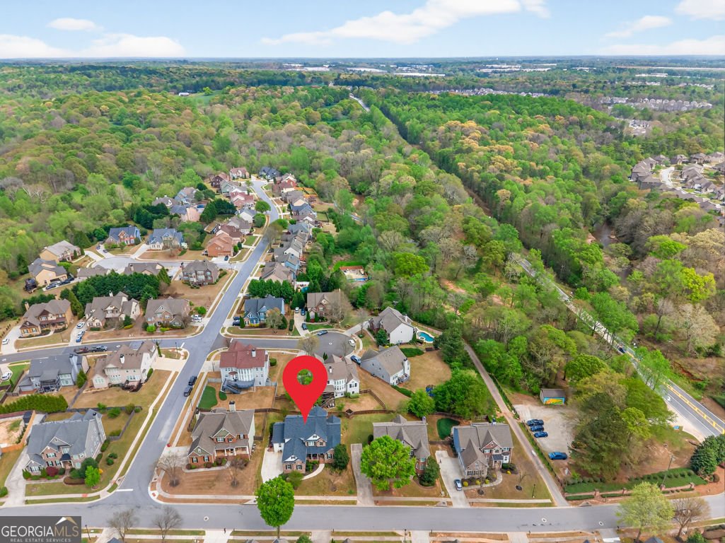 2409 Fisk Falls Drive Braselton - Photo 75