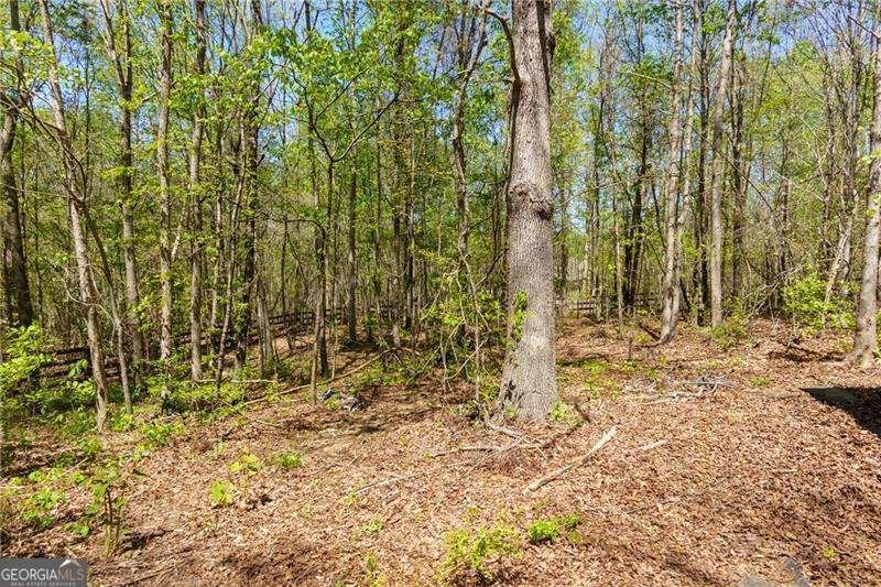 5940 Boulder Bluff Drive Cumming - Photo 52