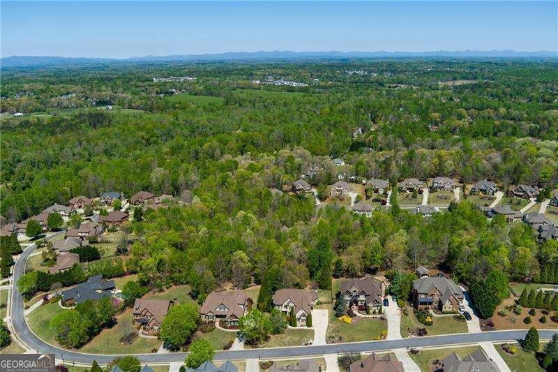 5940 Boulder Bluff Drive Cumming - Photo 59