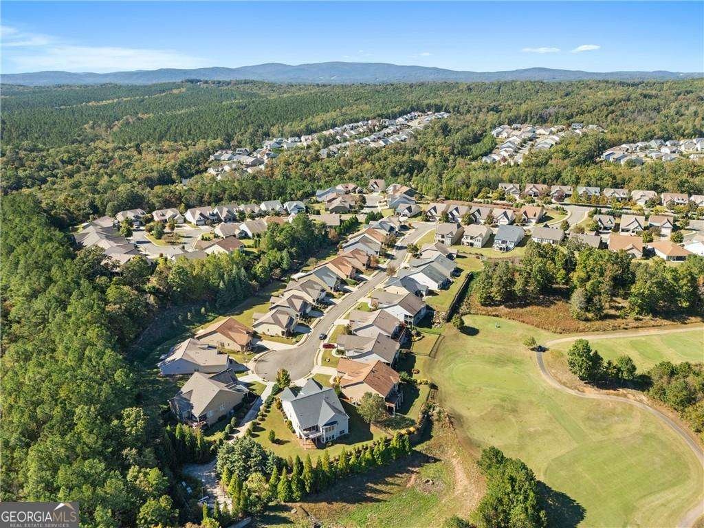 319 Laurel Lookout Hills Canton - Photo 77