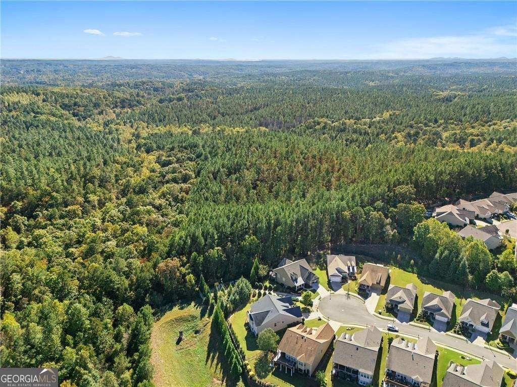 319 Laurel Lookout Hills Canton - Photo 78