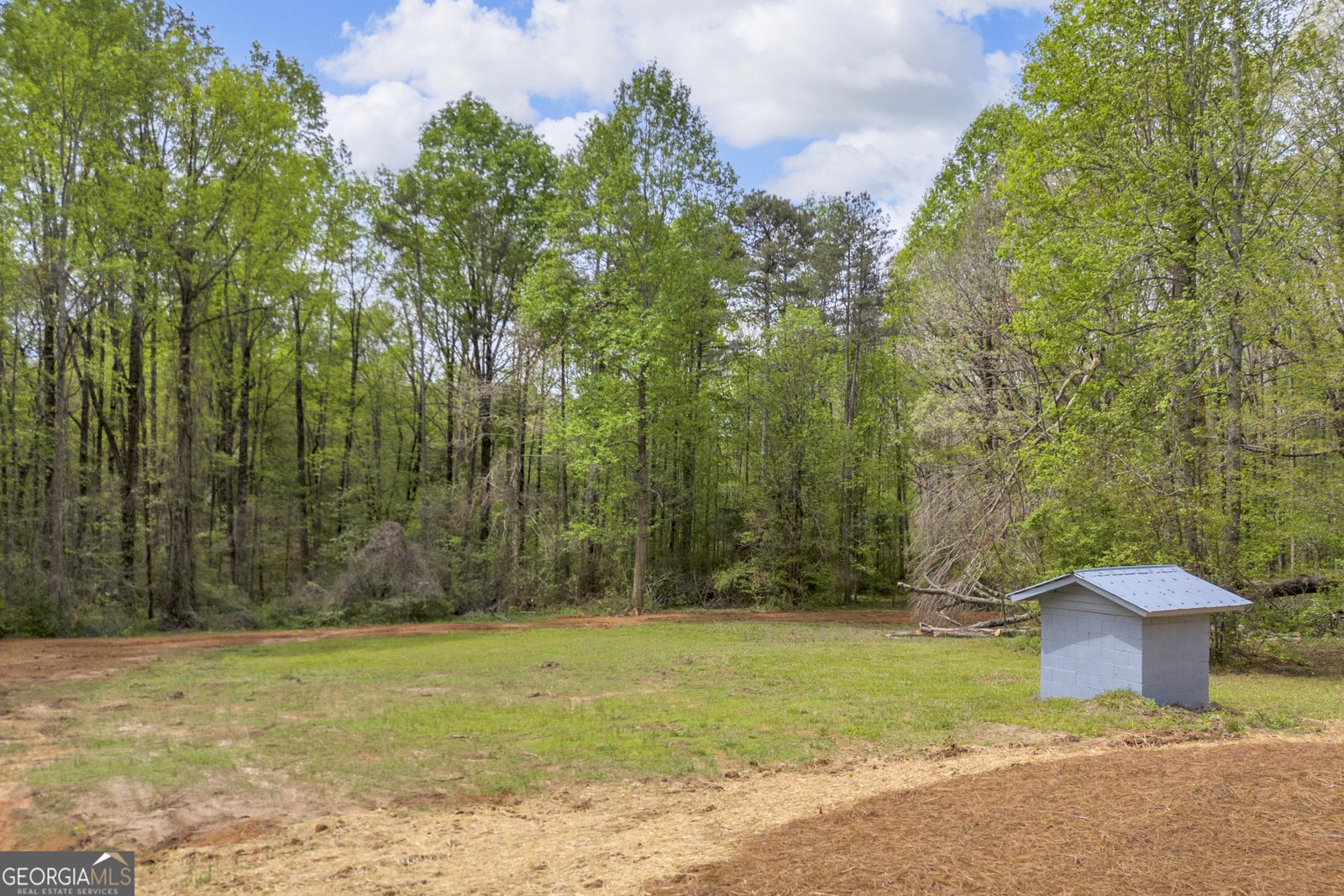 230 Tom Yarbrough Road Maysville - Photo 43