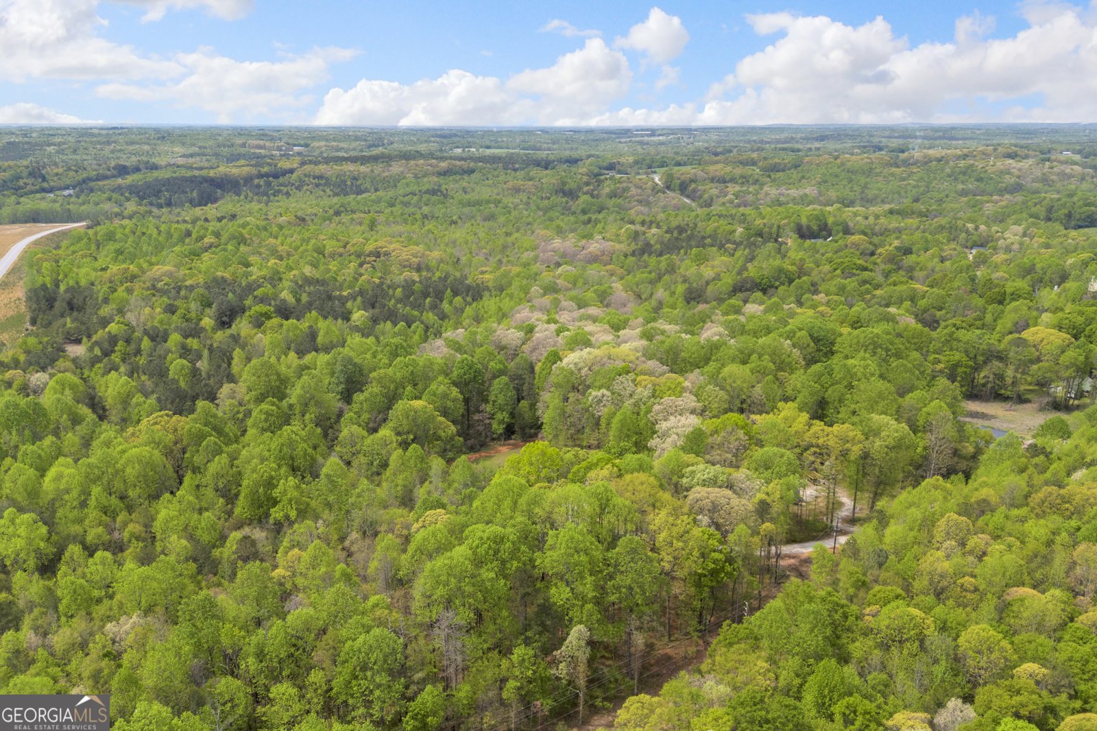 230 Tom Yarbrough Road Maysville - Photo 47