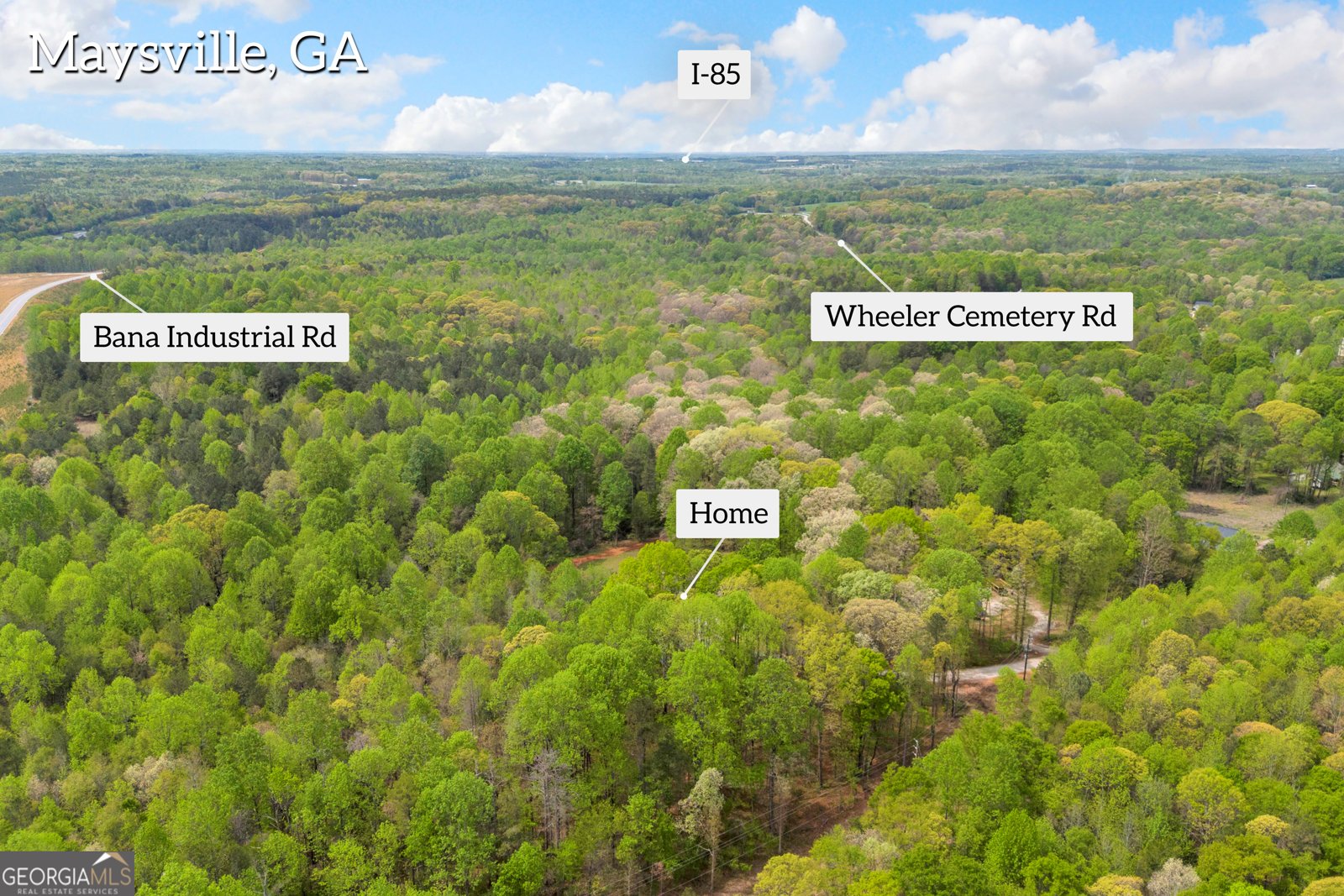 230 Tom Yarbrough Road Maysville - Photo 48