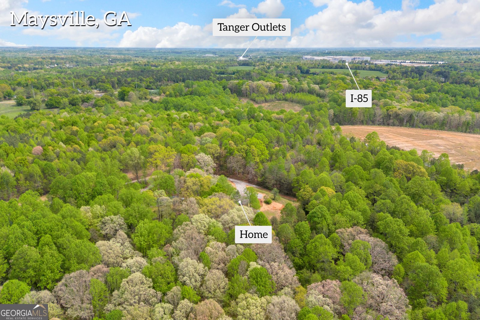 230 Tom Yarbrough Road Maysville - Photo 51